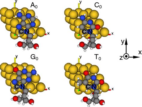 Positions Of Nucleosides Between Electrodes Download Scientific Diagram