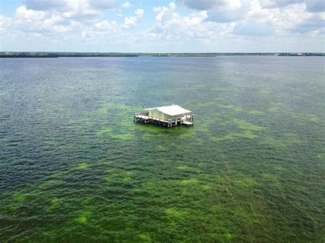 Stunning Stilt Home In Gulf Of Mexico