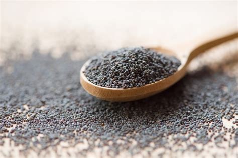 Poppy Seeds Health Benefits Risks And Nutrition The Healthy