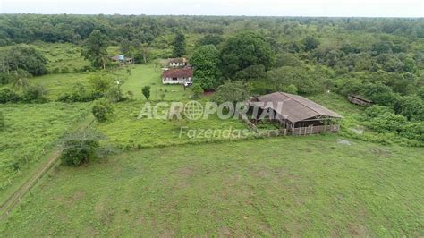 Fazenda Venda No Par Castanhal Ha Agroportal