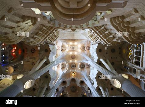 Ceiling Of Basilica Sagrada Familia Barcelona Spain Stock Photo Alamy