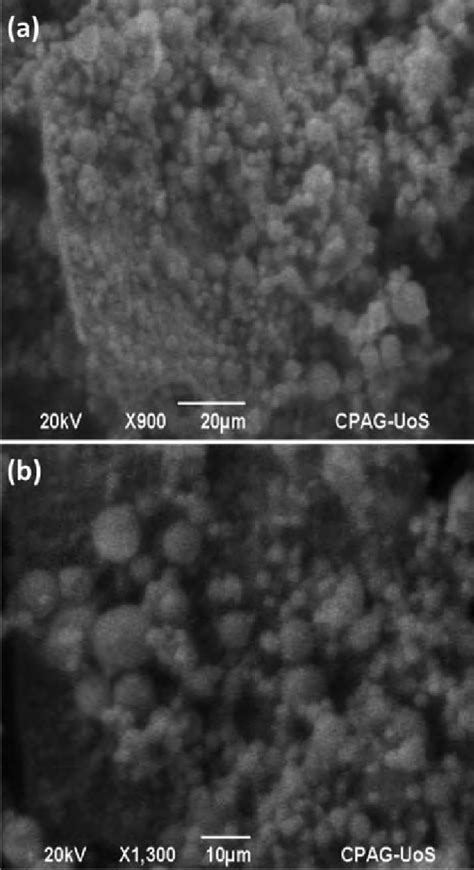 Cyclic Voltammograms Recorded In 01 M Phosphate Buffer Ph 70 In The Download Scientific