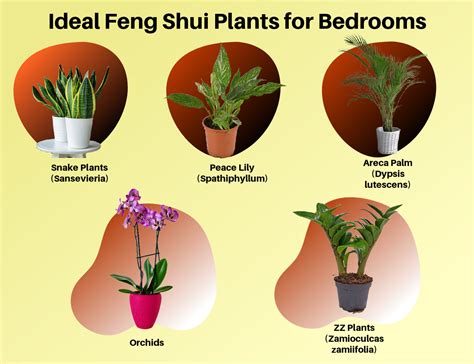 Simple Rules for Feng Shui Plants in Bedroom Spaces