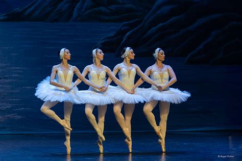 37 degrés Le Lac des Cygnes émerveille au Vinci de Tours