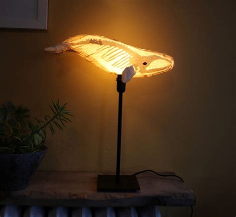 Whale Skeleton Lamps Whalefall Light On Etsy See Skeleton Lamp