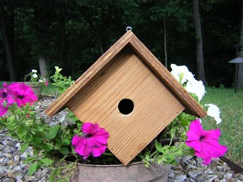 Build a Wren Bird House with Free Plans - CraftyBirds.com