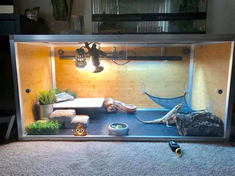 Diy Bearded Dragon Terrarium Ideas