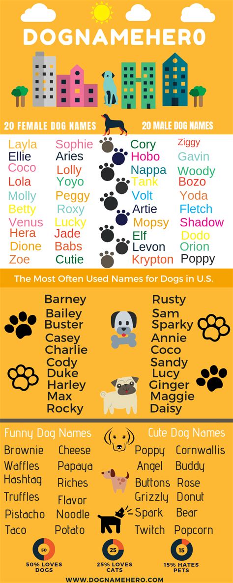 90+ Small Dog Names | Little Names For Small Dogs