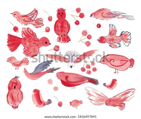 Red Watercolour Birds Berries Collection Isolated Stock Illustration 1836497845 Shutterstock