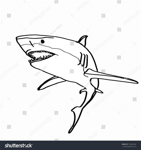 Realistic Shark Drawing Stock Illustration 726435544 - Shutterstock