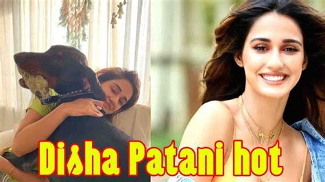 Disha Patani Hot Poster Video YouTube