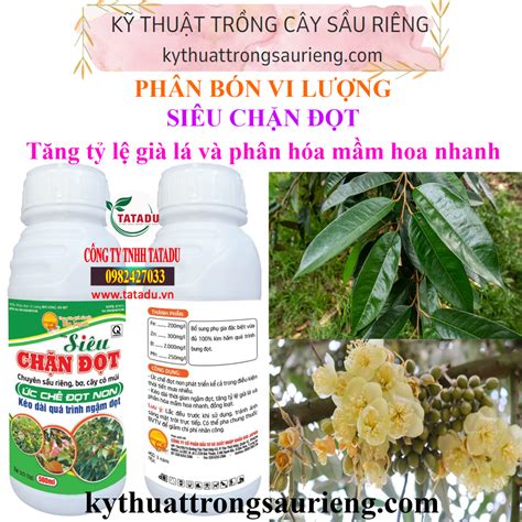 PhÂn BÓn Vi LƯỢng SiÊu ChẶn ĐỌt Ức ChẾ ĐỌt Non