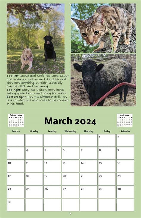 UW River Falls Pre Vet Club 2024 Calendar Yearbox Calendars