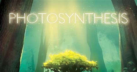 Photosynthesis | Board Game | BoardGameGeek