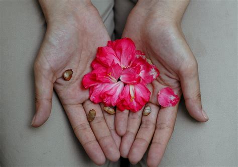 An Open Bible with Flowers and a Notepad · Free Stock Photo