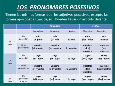 Pronombres Posesivos Cuales Son Tipos Y Ejemplos Images Free Hot Nude