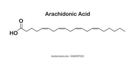 Chemical Structure Arachidonic Acid Showing Linear Stock Vector ...