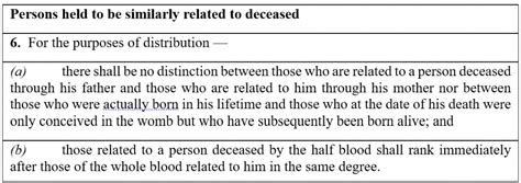 A Guide To Intestate Succession In Singapore Infinity Legal Llc