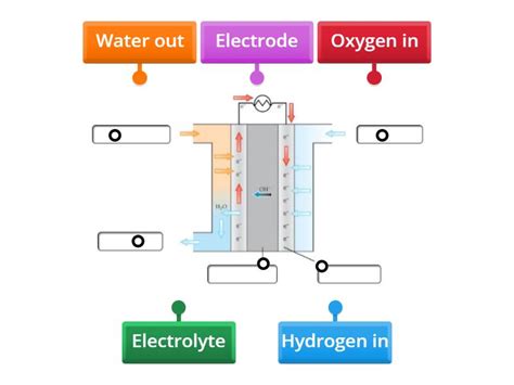 Fuel Cells Diagram Diagrama Con Etiquetas