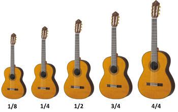 Tailles De Guitare