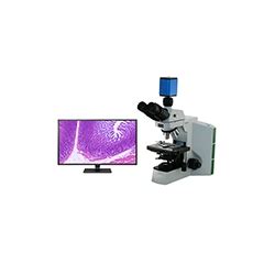 Digital Microscope Camera Options | Microscope World Blog