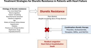 Treatment Strategies For Diuretic Resistance In Patients With Heart