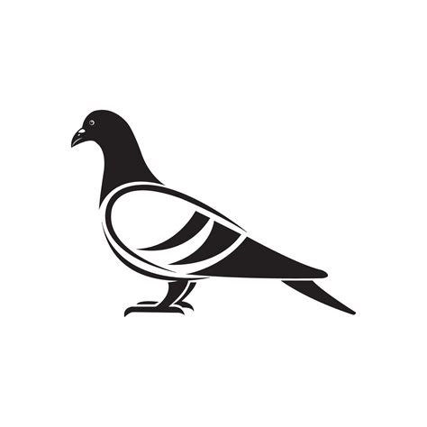 pigeon icon logo vector 11721996 Vector Art at Vecteezy