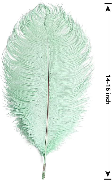 Tharaht Plumas De Avestruz Verde Claro A Granel Natural De A