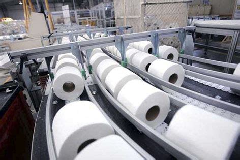 Ocupan fábrica de papel higiénico El Diario Ecuador