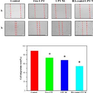 Wound Healing Assay On Mda Mb Cells Treated With Free Cpt And Naked