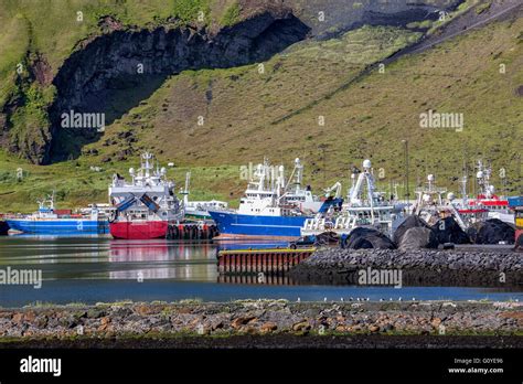 August 3 2015 Fishing Trawlers In Heimaey Harbor Beneath The