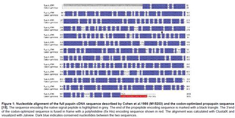 Expression Of A Codon Optimized Carica Papaya Papain Sequence In