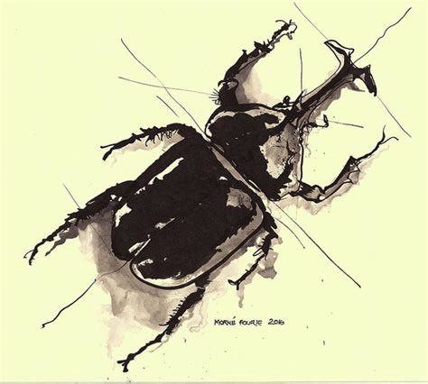 Scarab Beetle Sketch at PaintingValley.com | Explore collection of ...