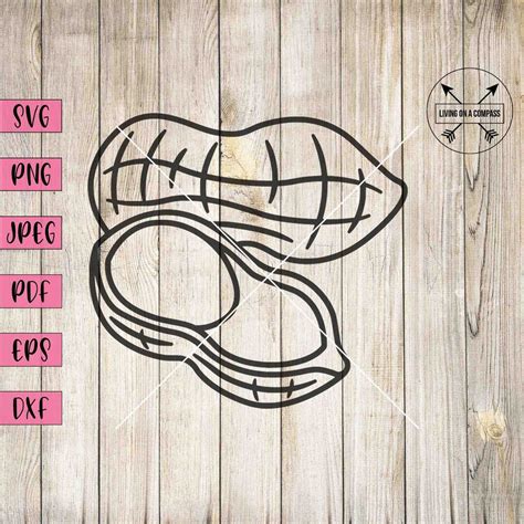 Peanut Svg, Peanut Clipart, Peanuts Svg, Peanuts Png, Peanuts Clipart ...