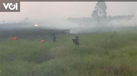 Titik Panas Terdeteksi Di Sumatera Terbanyak Di Sumatera Selatan