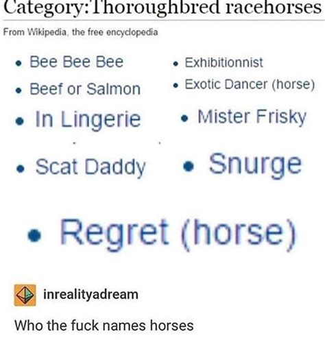 Horse meme : r/goodmemes4mywife