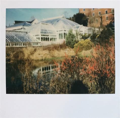 smith gardens botanical displays are attracting thousands of visitors 20