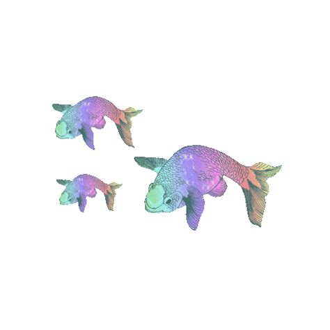 Transparent Fish Gif