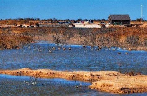 中国最美的6大沼泽湿地：三江平原湿地，扎龙湿地，美景之地