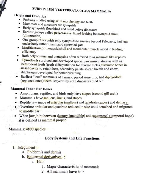 Zoology BIOL-1413 Subphylum Vertebrata Class Mammalia - SUBPHYLUM