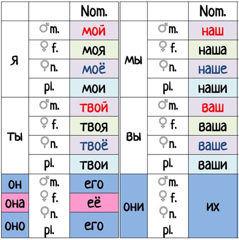 Possessive Pronouns In Russian Nominative — 1 Language Step By Step