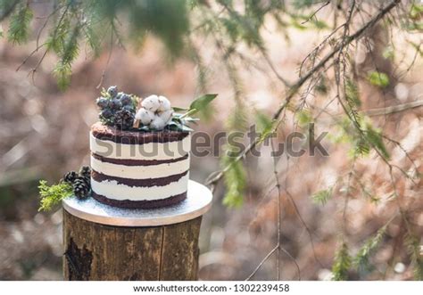 Naked Chocolate Cake Forest Stock Photo 1302239458 Shutterstock