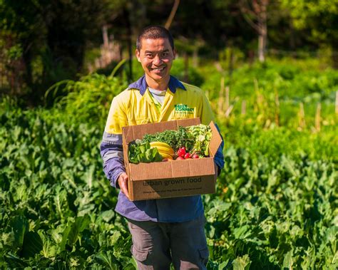 Green Connect Illawarra Launches New ‘pick Your Produce Fruit And Veg