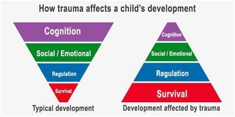 Trauma Brain Diagram