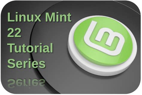 Cinnamon Spices – How to use Extensions in Linux Mint Cinnamon - Real ...