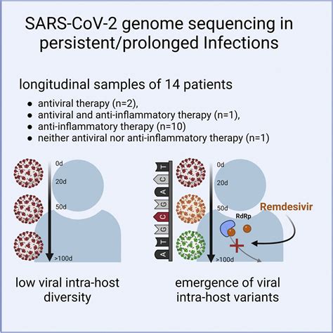 Remdesivir Induced Emergence Of SARS CoV2 Variants In Patients With