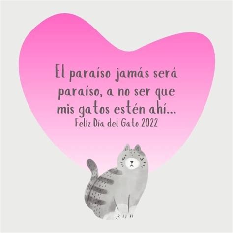 Feliz Día Del Gato 2022 Imágenes Con Frases Cortas Y Bonitas Para Compartir 🐱 Unión Guanajuato