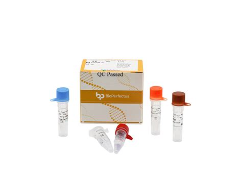 BioPerfectus Enterovirus Real Time PCR Kit