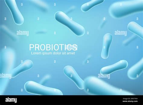 Probiotic Bacteria Lactobacillus Acidophilus And Bifidobacterium