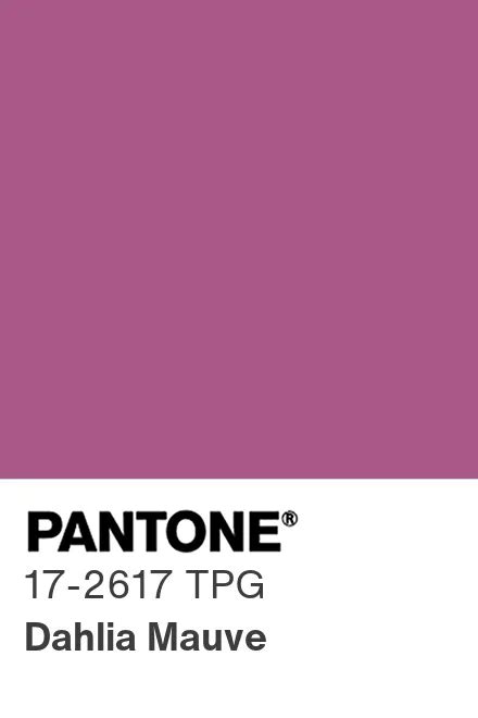 PANTONE 17 2617 TPG Dahlia Mauve Pantone色号库 Pantone潘通中国官网